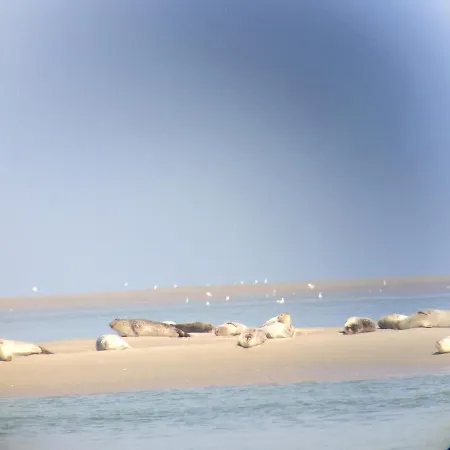 St Laurent Apartment Criel-sur-Mer