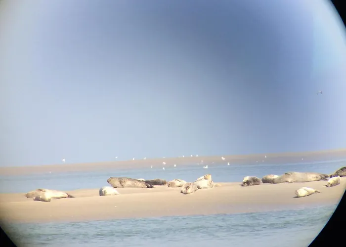 St Laurent Appartement Criel-sur-Mer