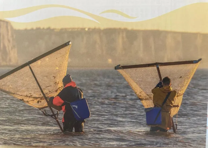 St Laurent Appartement *