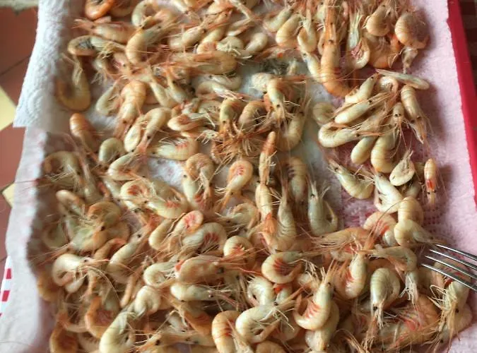 Appartement St Laurent Criel-sur-Mer