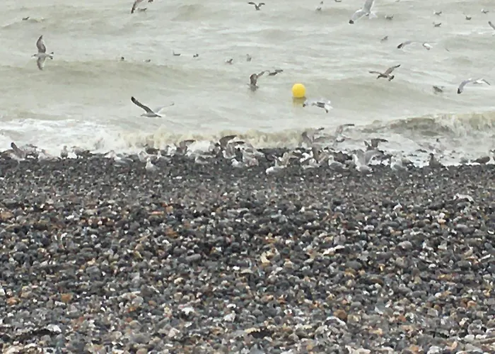 St Laurent Appartement Criel-sur-Mer